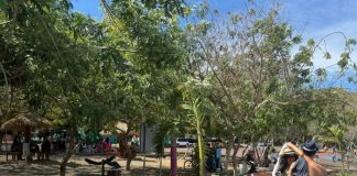 Foto :Xiloá brilla como uno de los destinos más visitados del verano/TN8.