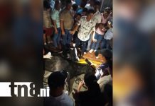Foto: La violencia que mata: un caballo pierde la vida tras presunto maltrato en Tipitapa/TN8
