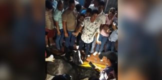 Foto: La violencia que mata: un caballo pierde la vida tras presunto maltrato en Tipitapa/TN8