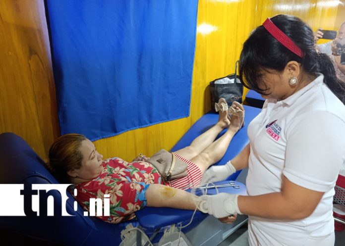 Foto: Donación de sangre salva vidas /TN8