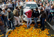 FOTO: Tractores y agricultores paralizan España en defensa del sector agrario/CORTESÍA