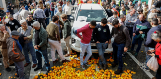 FOTO: Tractores y agricultores paralizan España en defensa del sector agrario/CORTESÍA