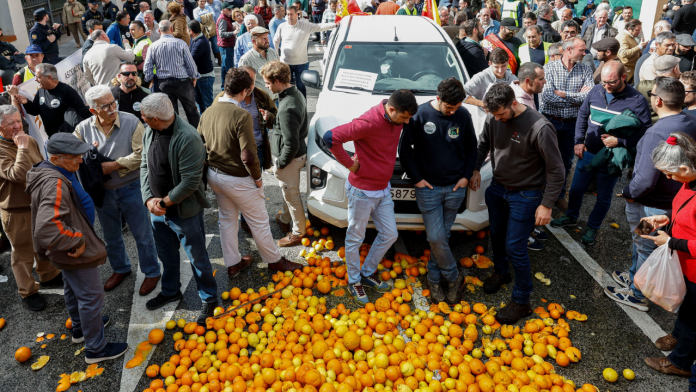 FOTO: Tractores y agricultores paralizan España en defensa del sector agrario/CORTESÍA
