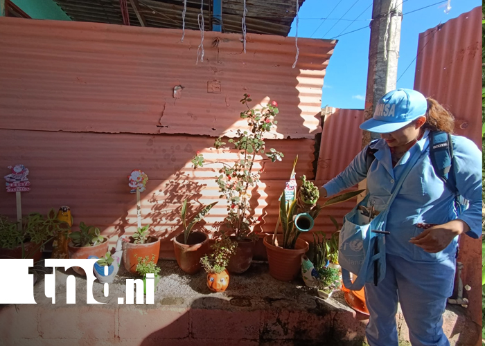 Foto: MINSA refuerza acciones en barrios de Managua / TN8