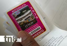 Foto: Sticker de rodamiento 2026 ya está disponible en todo Nicaragua/TN8
