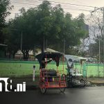 Foto: Fallece hombre tras ser atacado por abejas africanizadas en Nindirí/TN8