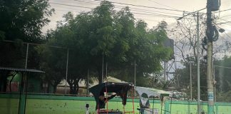 Foto: Fallece hombre tras ser atacado por abejas africanizadas en Nindirí/TN8