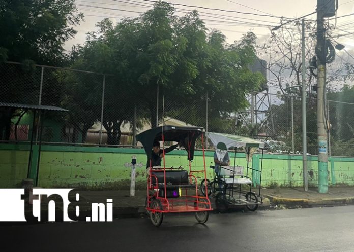 Foto: Fallece hombre tras ser atacado por abejas africanizadas en Nindirí/TN8