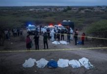 Foto: Hallazgo en Ecuador /cortesía