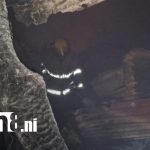 Foto: Ancianito muere calcinado junto a su mascota en un voraz incendio en ManaguaTN8