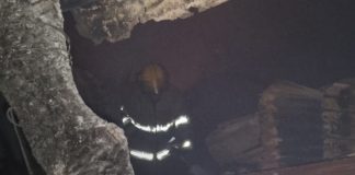 Foto: Ancianito muere calcinado junto a su mascota en un voraz incendio en ManaguaTN8