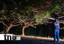 Foto: Motociclista pierde la vida al estrellarse contra un árbol de chilamate en Rivas/TN8