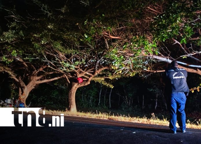 Foto: Motociclista pierde la vida al estrellarse contra un árbol de chilamate en Rivas/TN8