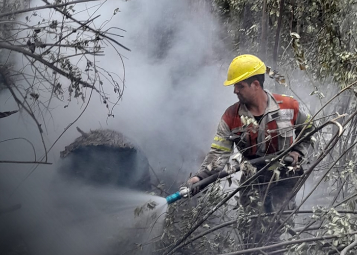 Foto: Chubut arde mientras fondos ambientales siguen retenidos/Cortesía