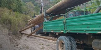Foto: Accidente laboral deja un fallecido en zona rural de Somoto/TN8