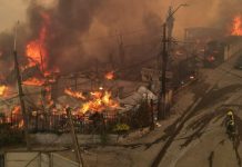 Nicaragua envía mensaje de solidaridad a Chile tras devastadores incendios Foto: Nicaragua envía mensaje de solidaridad a Chile tras devastadores incendios / Cortesía