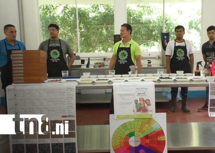 Foto: Nueva carrera técnica en café abre oportunidades a jóvenes en Matagalpa/TN8