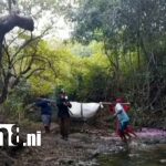 Foto: Localizan cadáver en estado de descomposición en Carazo /TN8