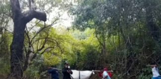 Foto: Localizan cadáver en estado de descomposición en Carazo /TN8