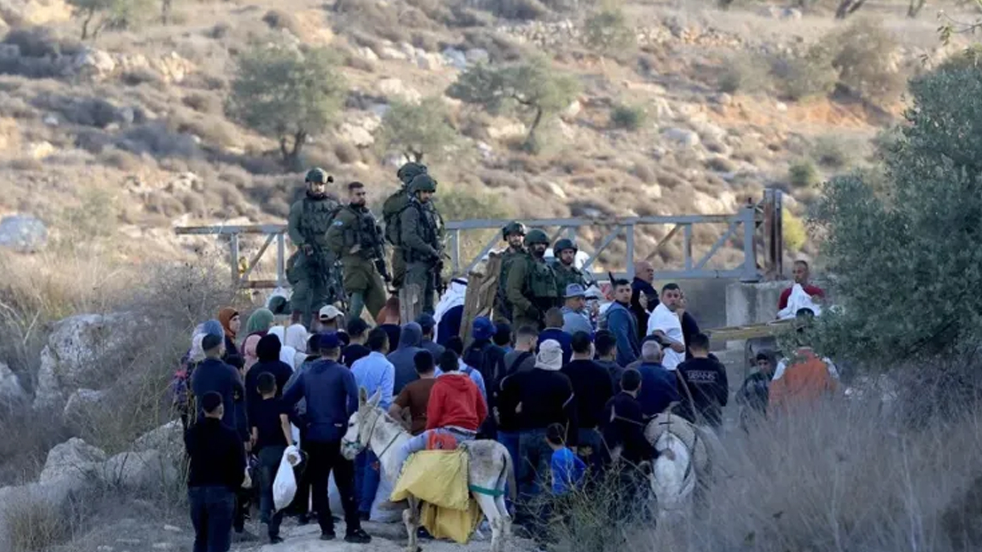 Foto: Fuerzas israelíes dispersan comunidad tras ataques a civiles palestinos /Cortesía
