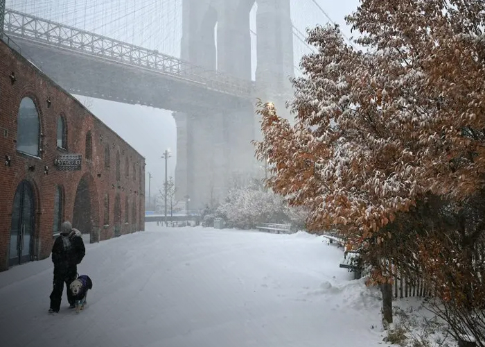 Foto: Estados Unidos bajo hielo /cortesía