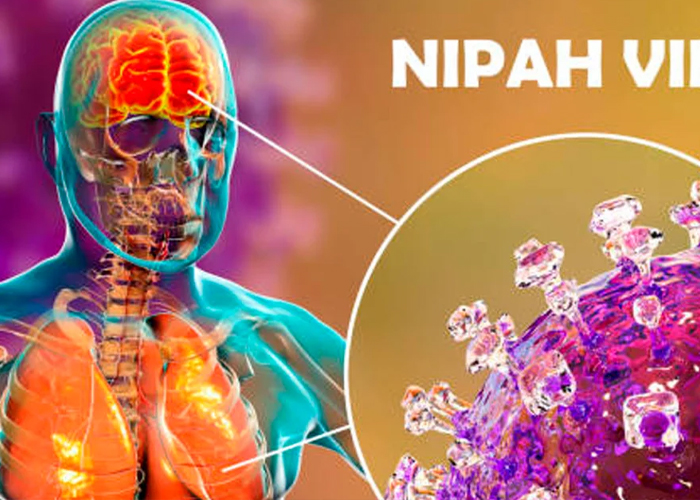 Foto: El virus Nipah amenaza a la India sin vacuna ni cura /Cortesía