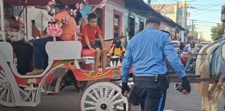 Foto: Motociclista choca contra coche de caballos en Calle Real Xalteva, Granada/TN8