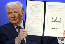 Filtran plan secreto de Trump para controlar Gaza “sin participación palestina” Foto: Gaza “desradicalizada” bajo Trump /cortesía