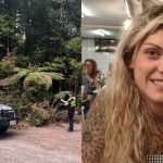 Foto:Restos hallados por voluntario reavivan misterio en Tasmania/Cortesía