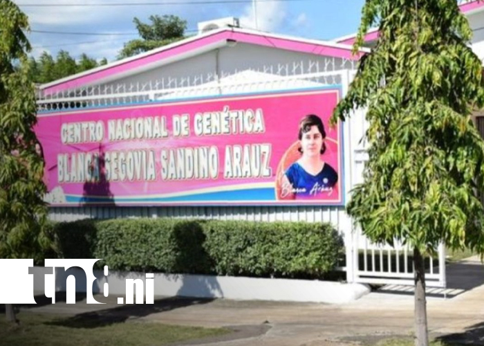Foto: Nicaragua da un paso histórico en la salud genética/TN8