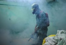 Cuba registra descenso sostenido de casos de dengue y chikungunya Foto: Cuba avanza en el control de arbovirosis /cortesía