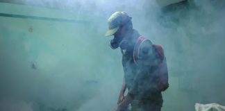 Foto: Cuba avanza en el control de arbovirosis /cortesía