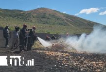 Foto: León impulsa acciones clave contra incendios forestales/Tn8