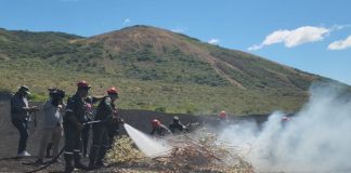 Foto: León impulsa acciones clave contra incendios forestales/Tn8
