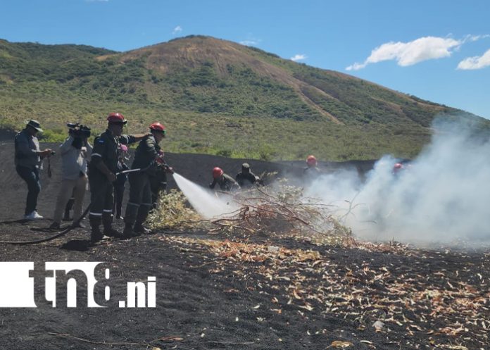 Foto: León impulsa acciones clave contra incendios forestales/Tn8