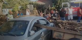 Foto: Caballo descontrolado provoca fuerte accidente en Belén, Rivas/TN8
