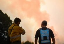 Argentina decreta emergencia ígnea en cuatro provincias de la Patagonia Foto: Incendios sin control en Argentina /cortesía