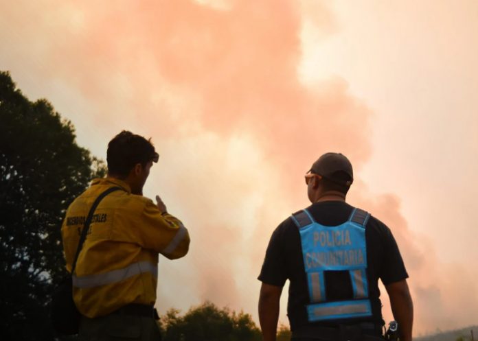 Foto: Incendios sin control en Argentina /cortesía