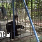 Foto: Zoológico Thomas Belt se consolida como destino educativo y recreativo en Juigalpa/TN8