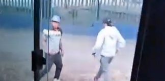 Foto: ¡Como si hubieran visto al diablo! Delincuentes se lanzan de ruta 110 al ser descubiertos robando/TN8