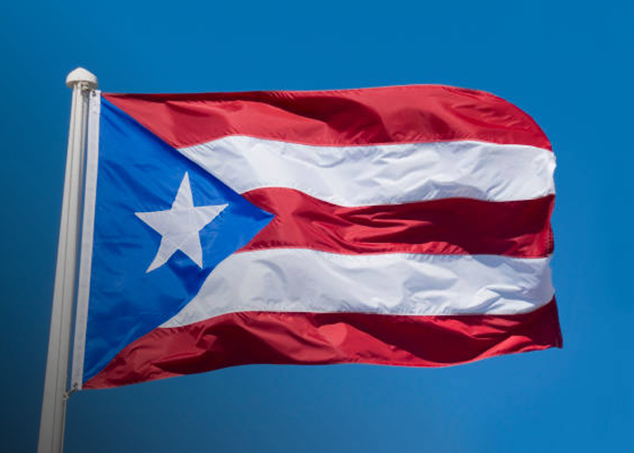 Foto: Puerto Rico respalda a Venezuela /cortesía
