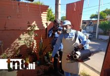 Foto: MINSA refuerza acciones en barrios de Managua / TN8