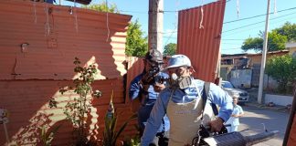 Foto: MINSA refuerza acciones en barrios de Managua / TN8
