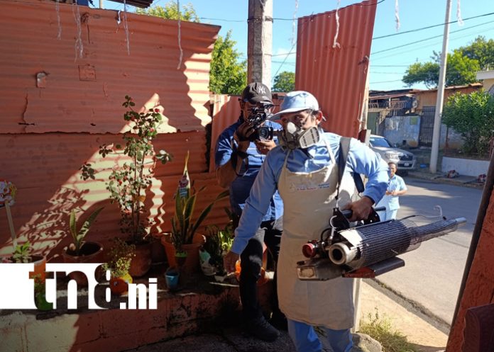 Foto: MINSA refuerza acciones en barrios de Managua / TN8 Foto: MINSA refuerza acciones en barrios de Managua / TN8