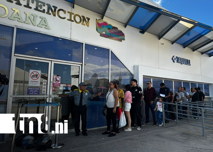 Foto: Sticker de rodamiento 2026 ya está disponible en todo Nicaragua/TN8