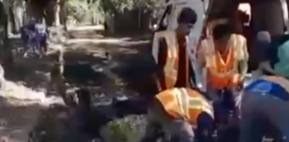 Foto: Descarga eléctrica provoca caída de trabajador en Chinandega/TN8