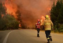 Incendio fuera de control arrasa miles de hectáreas en la Patagonia Foto:Evacuaciones preventivas por avance del fuego en la Patagonia/Cortesía