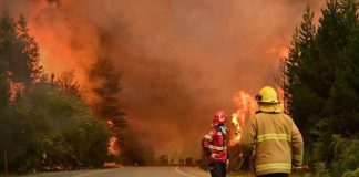 Foto:Evacuaciones preventivas por avance del fuego en la Patagonia/Cortesía