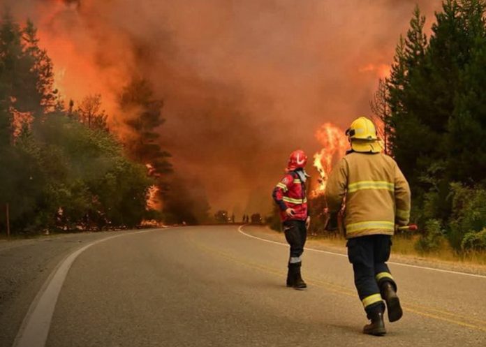 Foto:Evacuaciones preventivas por avance del fuego en la Patagonia/Cortesía