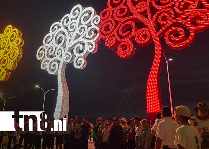 Foto: Árboles de la Vida iluminan 19 años de paz y esperanza en Nicaragua/TN8